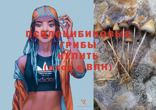 прущая мука Гусев