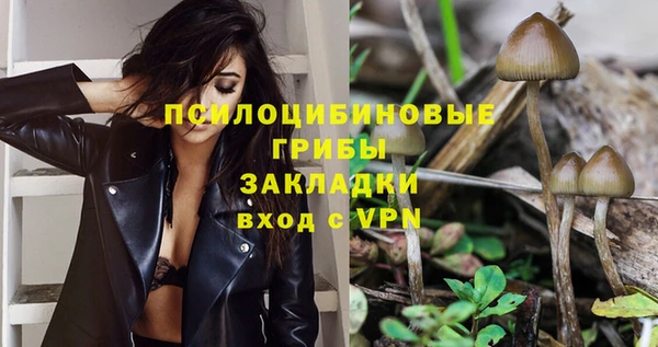 экстази Покачи