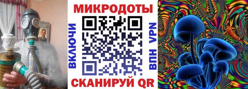 купить наркоту  Жердевка  Галлюциногенные грибы прущие грибы 