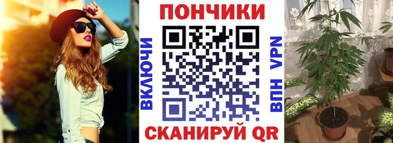 как найти гидра маркетплейс Бошки марихуана THC 21% Жердевка